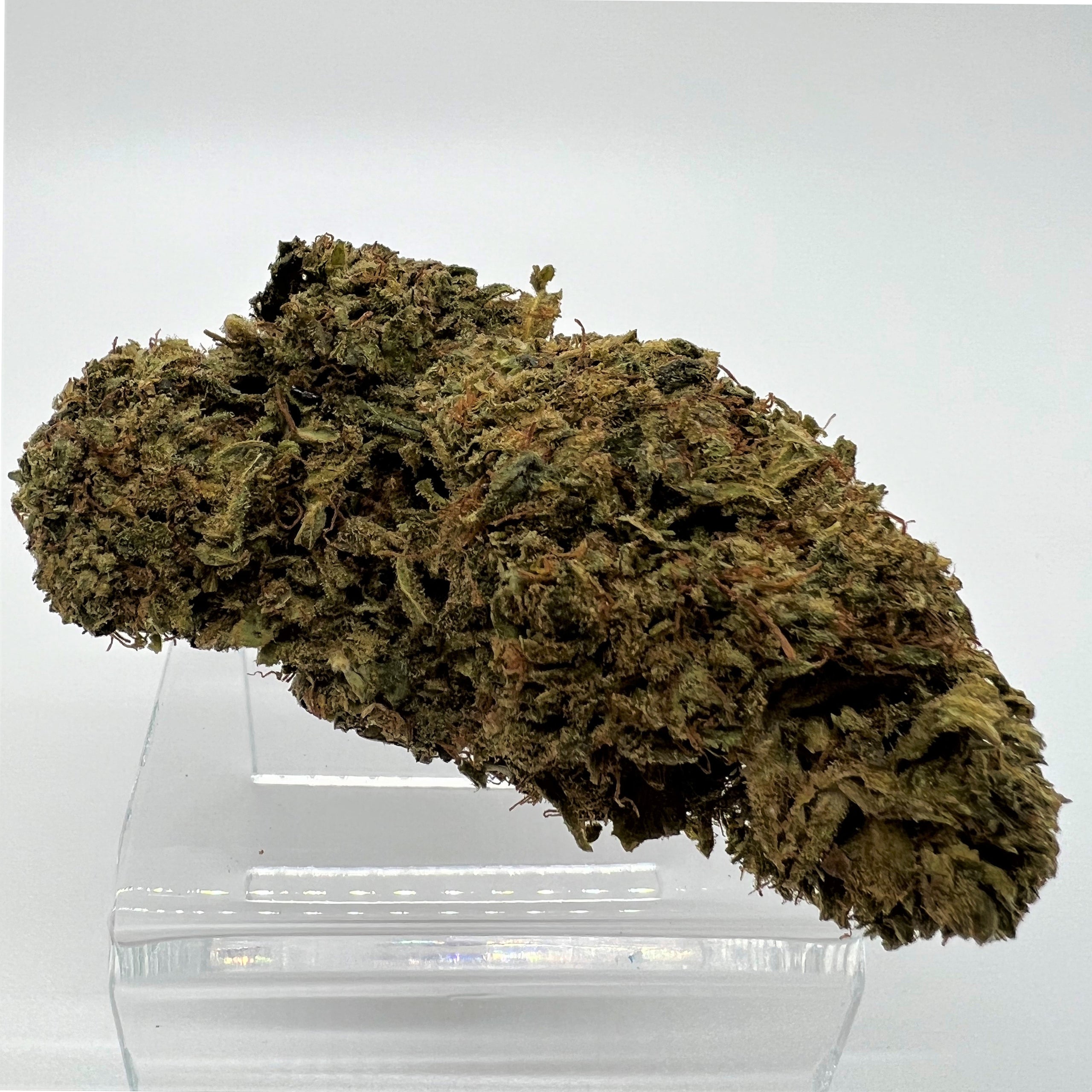 Paradise OG Entourage Blend Flower Houston CBD Supply